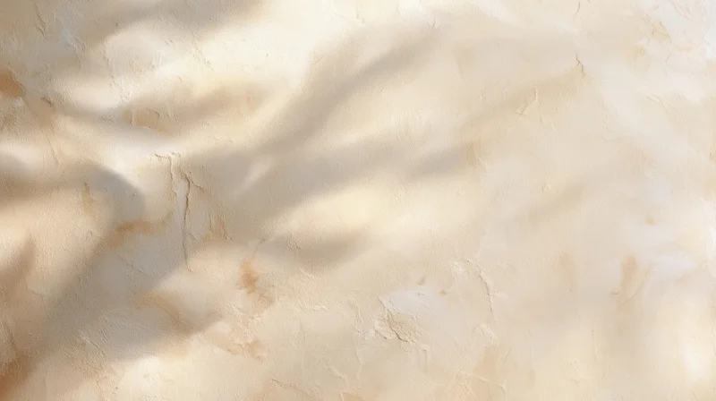 Dappled sunlight on a textured beige plaster wall