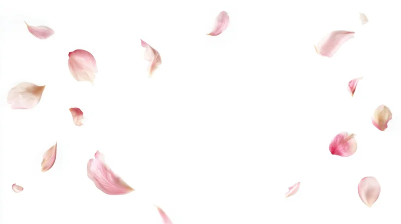 Rose petals floating in midair against a white background with copyspace