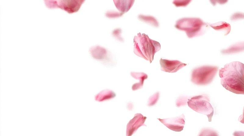Pink rose petals floating against a white background with copyspace on the left