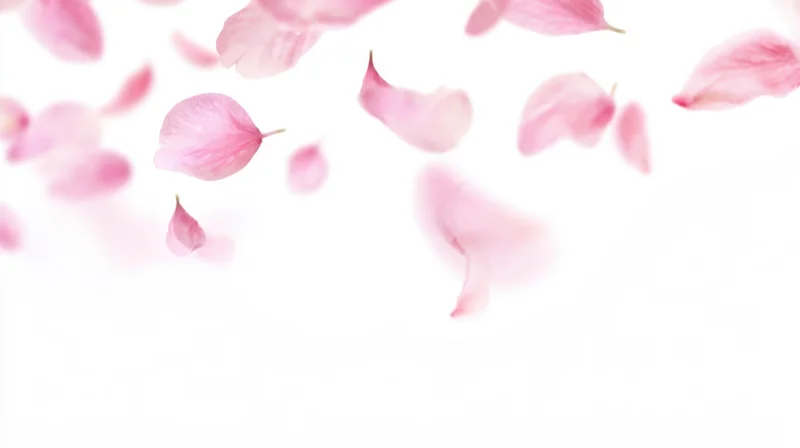 Pink flower petals floating against a white background with copyspace