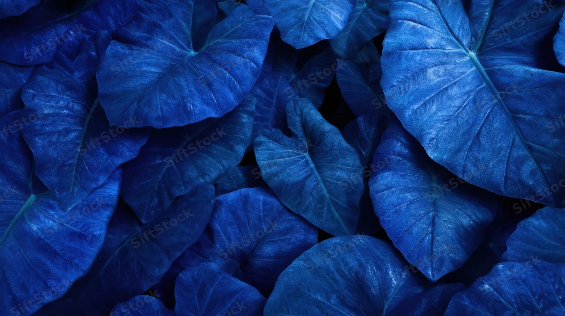 Close-up of blue tropical leaves densely layered in a lush arrangement