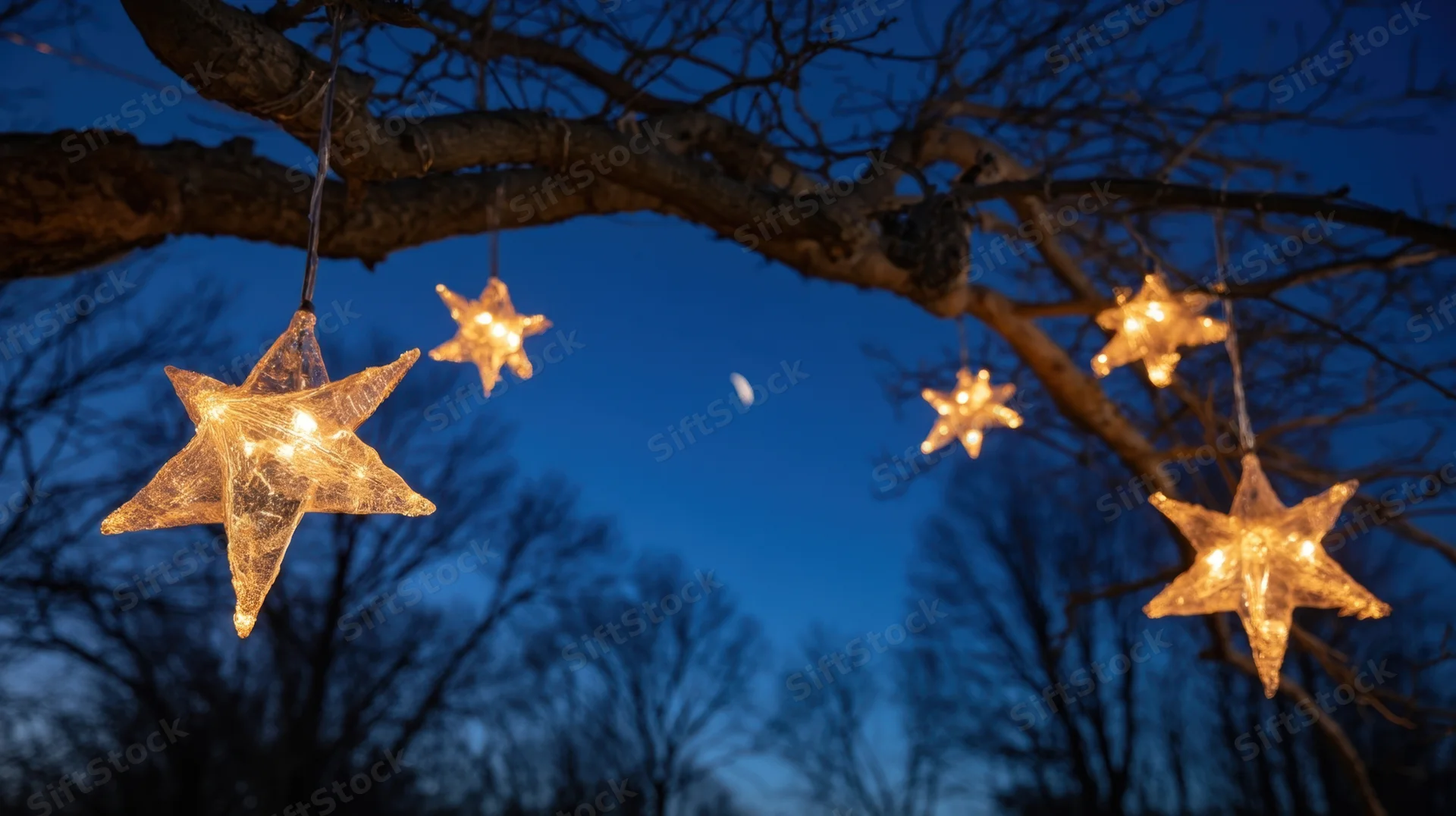 Glowing star-shaped lights hanging from bare tree branches against a dark blue night sky with a visible moon