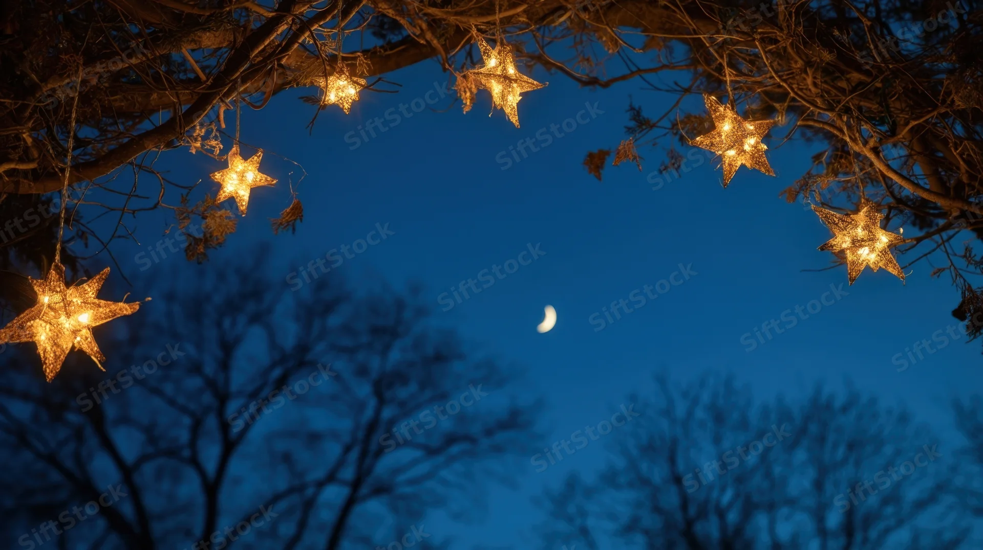 Glowing star-shaped lights hanging from bare tree branches against a dark blue sky with a crescent moon