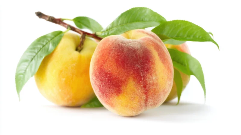 Ripe peaches with green leaves on a branch isolated on white background