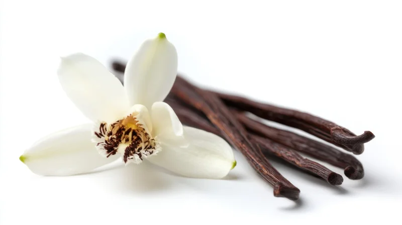 White vanilla flower and dark brown vanilla pods arranged on a plain white surface