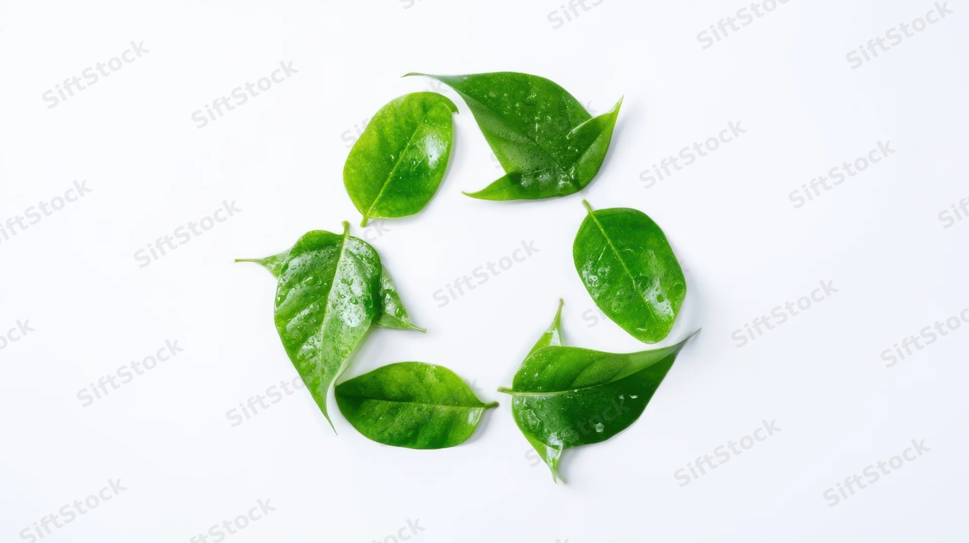 Green leaves arranged in a recycling symbol shape on white background