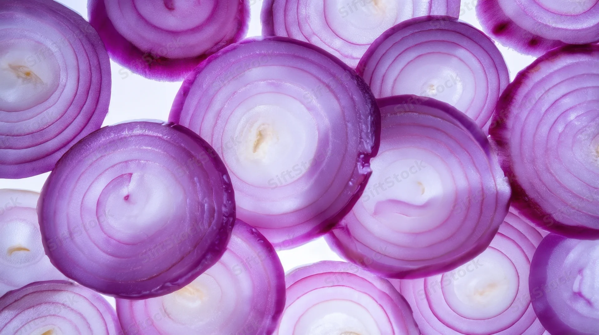 Closeup of freshly sliced purple onions arranged on a white background