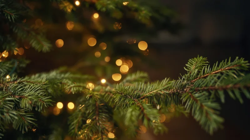Close-up of evergreen tree branches with warm glowing lights in soft focus, creating festive holiday ambiance