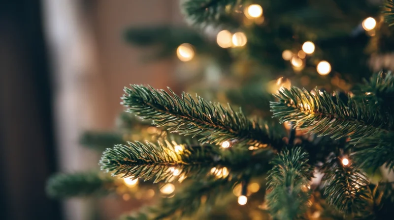 Close-up of pine tree branches with warm white lights glowing softly in a festive indoor setting