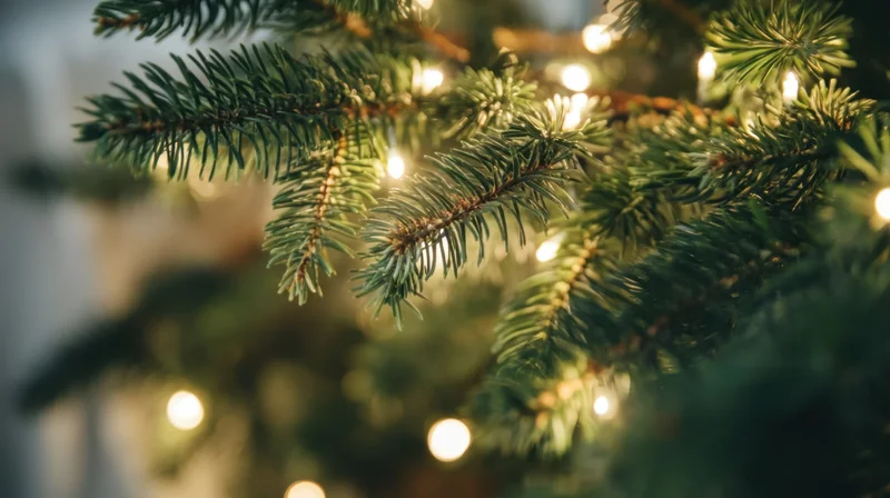 Close-up of pine tree branches with warm white lights in a festive indoor setting