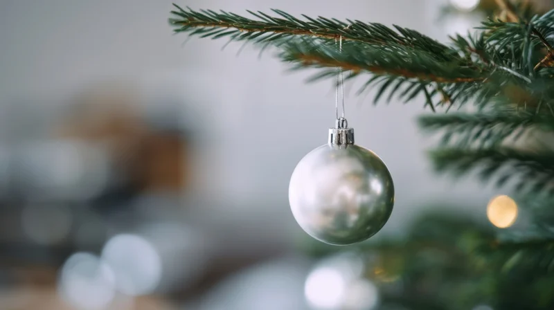 Silver ornament hanging from a pine tree branch indoors