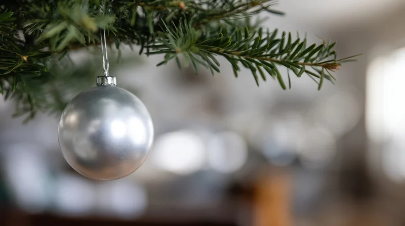 Silver ornament hanging from a pine tree branch indoors