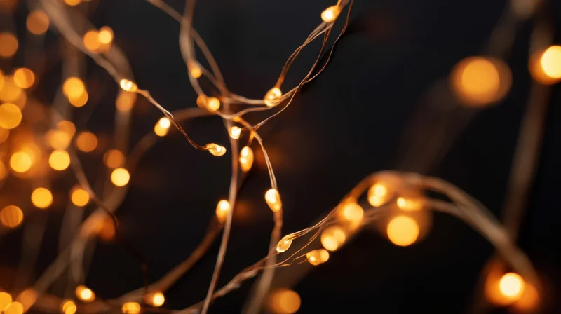 Warm glowing fairy lights twinkle against a dark background