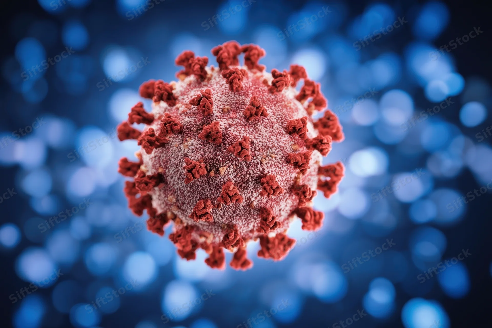 3d rendered coronavirus model with red spike proteins on a blue bokeh background