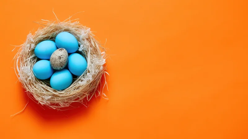 A bird's nest with blue and speckled eggs on an orange background