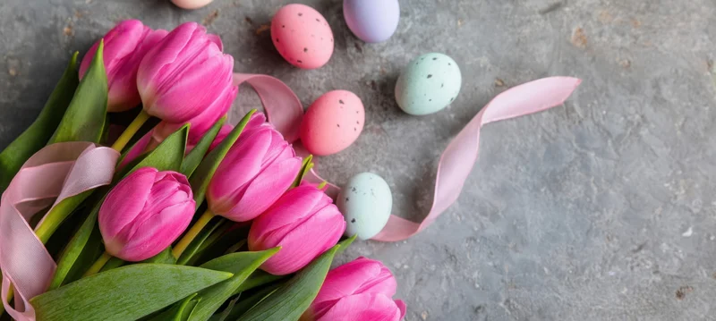 Pink tulips and pastel speckled eggs arranged with ribbon on concrete surface