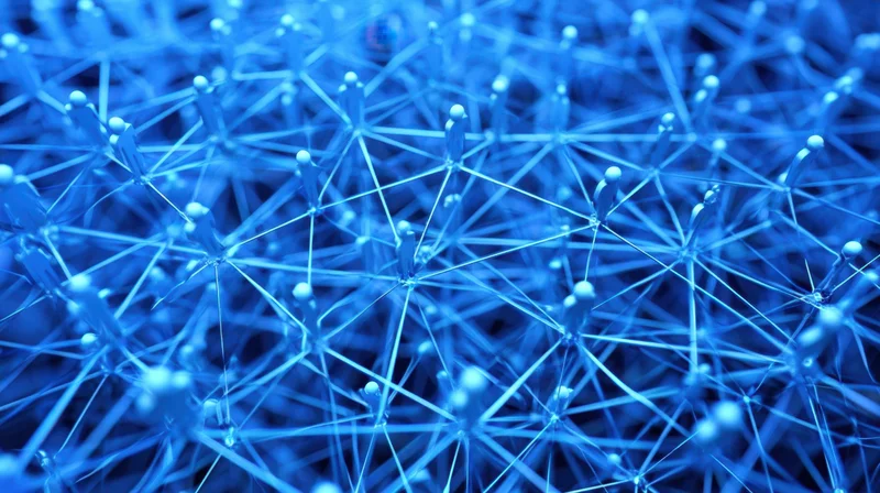Digital network of interconnected nodes forming a web of data connections
