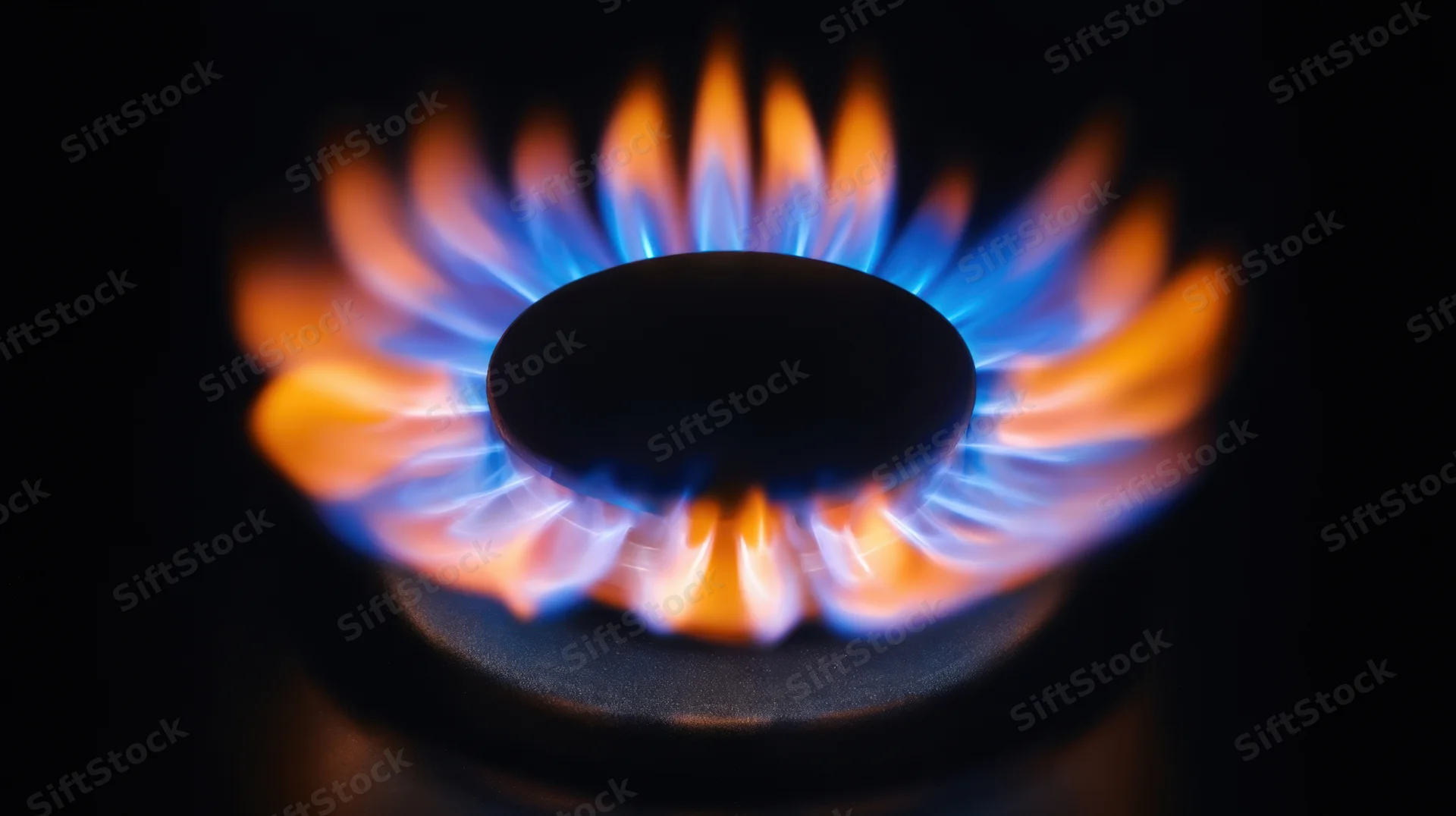 Close-up of a gas stove burner with blue and orange flames ignited in a dark kitchen setting