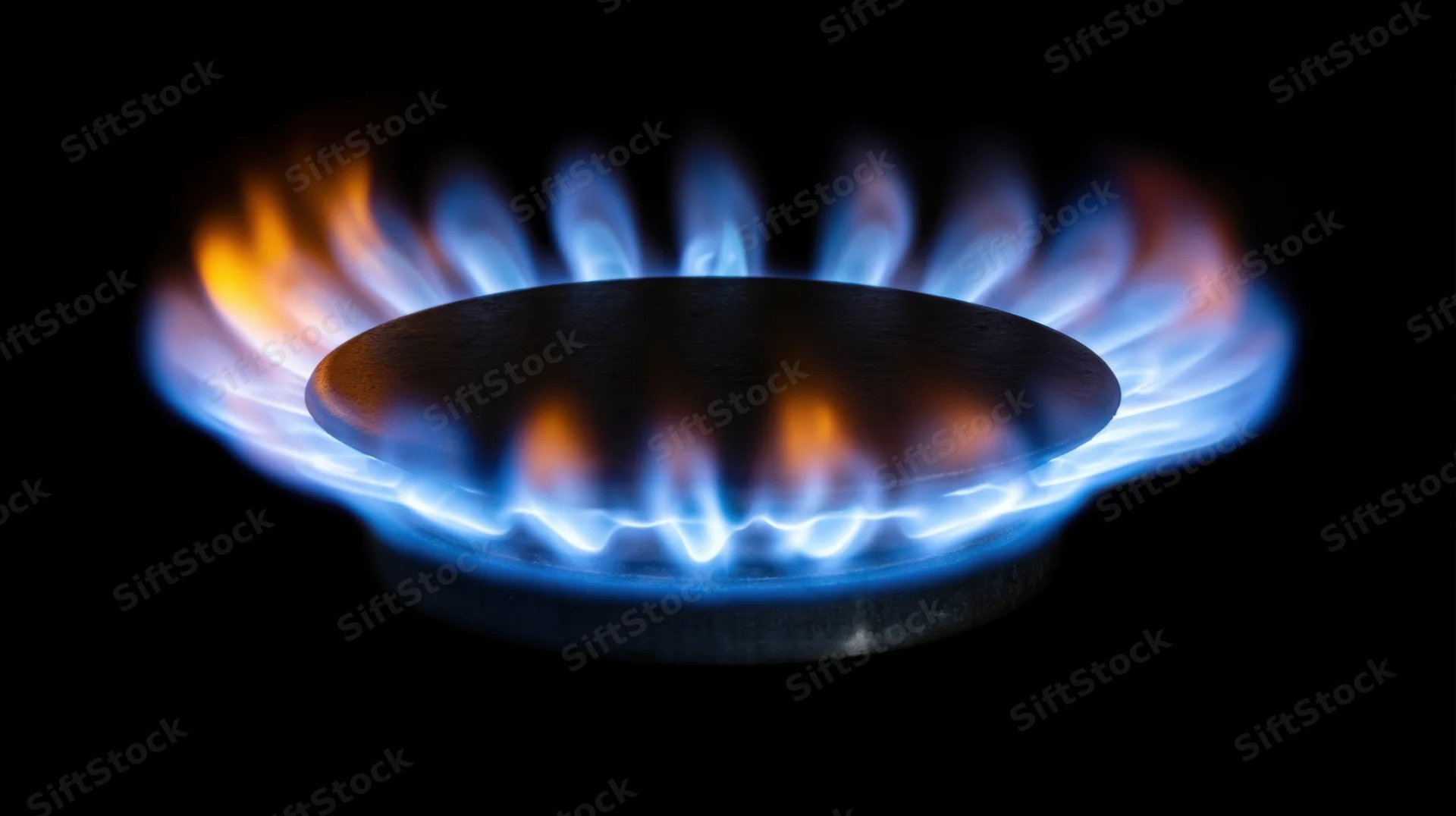 Gas flame burning on a stove burner against black background