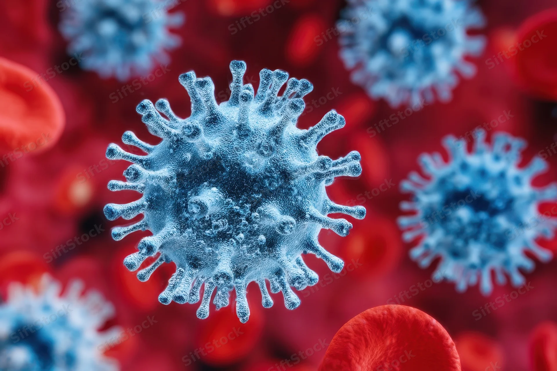 Blue virus particles with spike proteins among red blood cells in a microscopic view