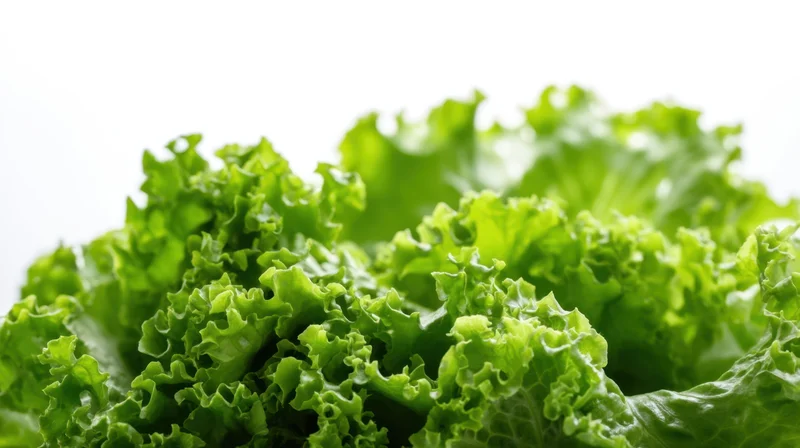 Closeup of fresh green lettuce leaves on white background