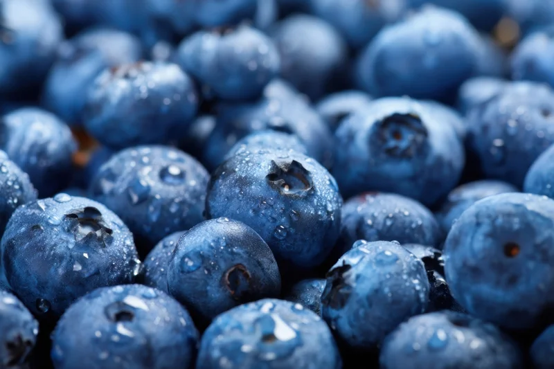 Closeup of fresh blueberries covered in water droplets, piled together