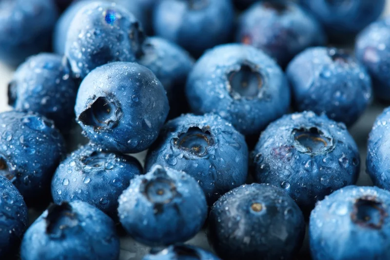 Closeup of fresh blueberries covered in water droplets on a white surface