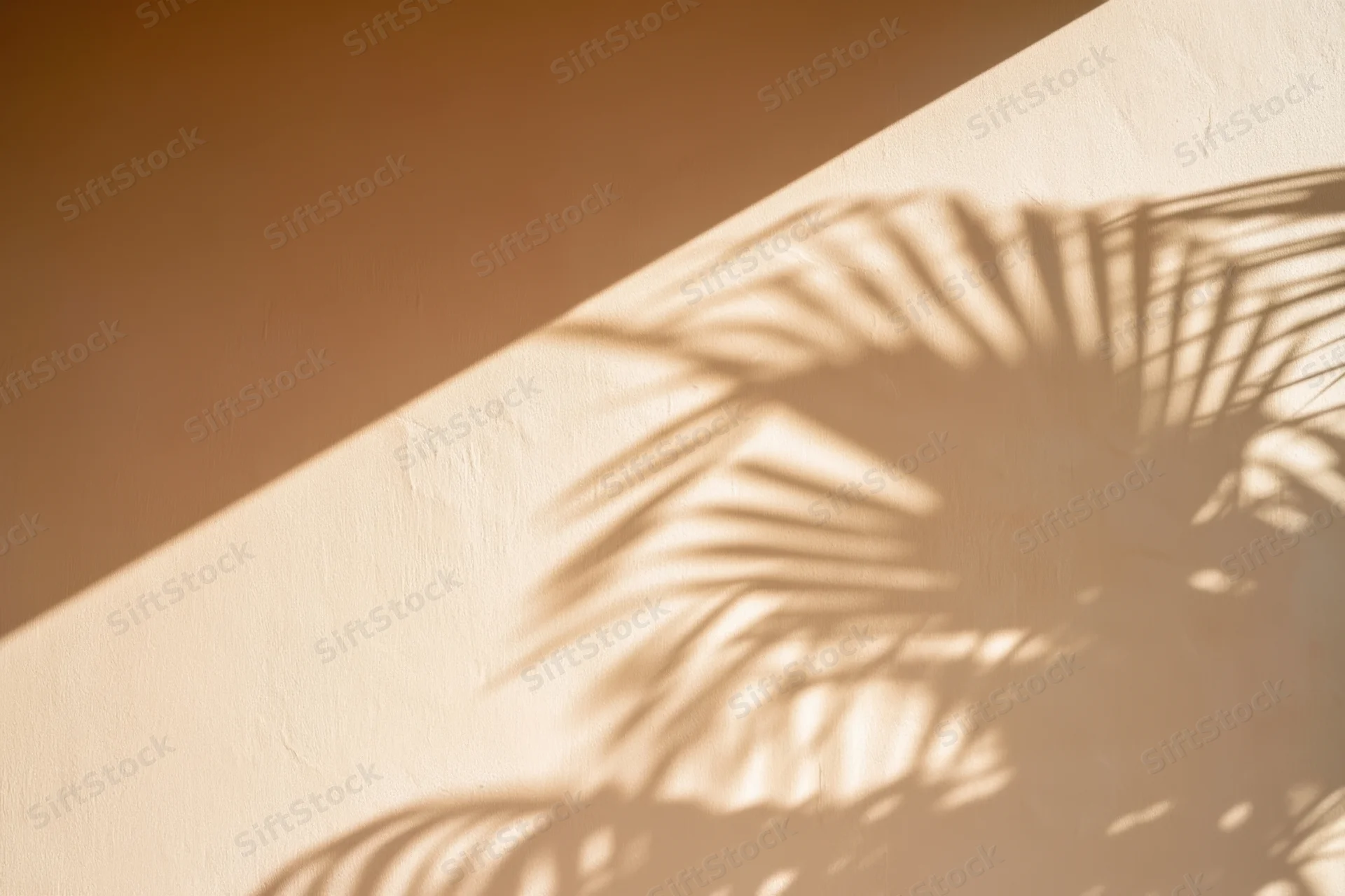 Palm frond shadow cast on a beige wall in soft sunlight