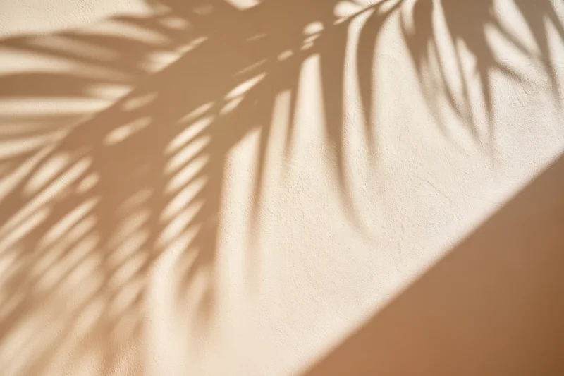 Palm frond shadows cast on a textured beige wall in soft natural light