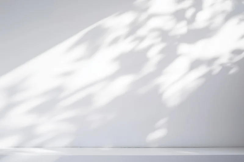 Minimalist white interior with dappled sunlight shadows on smooth wall and floor