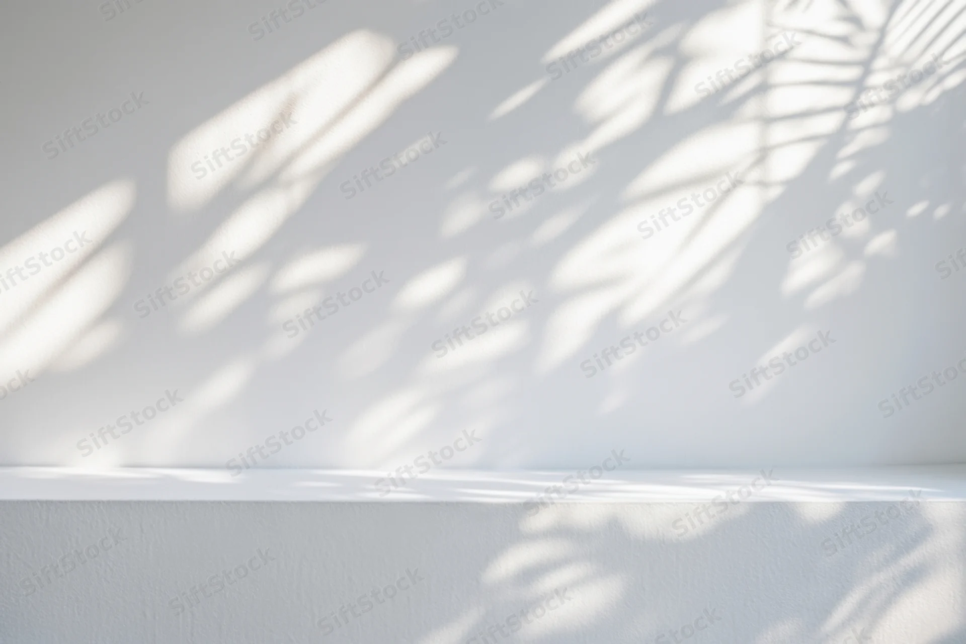 Dappled sunlight from a plant casts soft shadows on a white interior wall