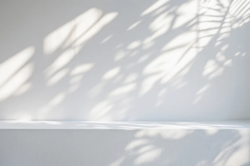 Dappled sunlight from a plant casts soft shadows on a white interior wall