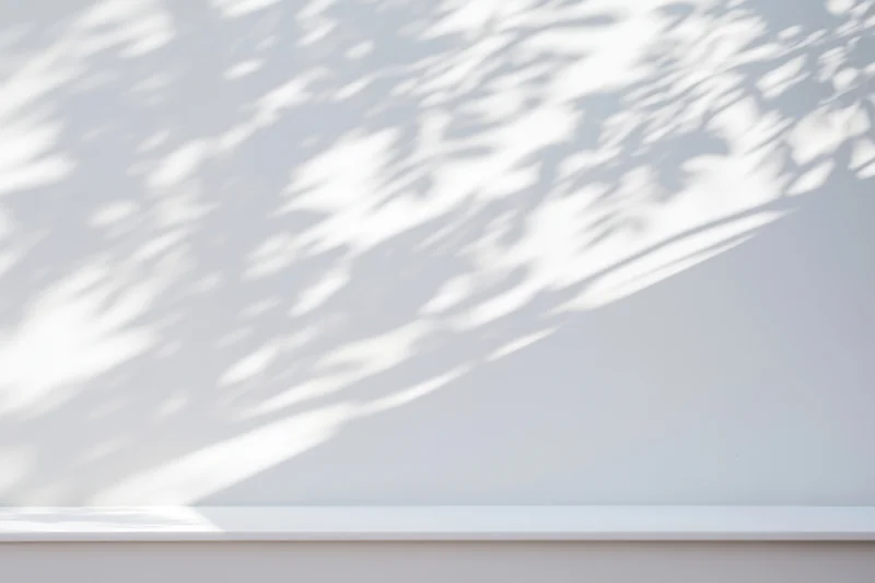 Dappled sunlight casts soft tree shadows on a smooth white wall in a minimalist interior