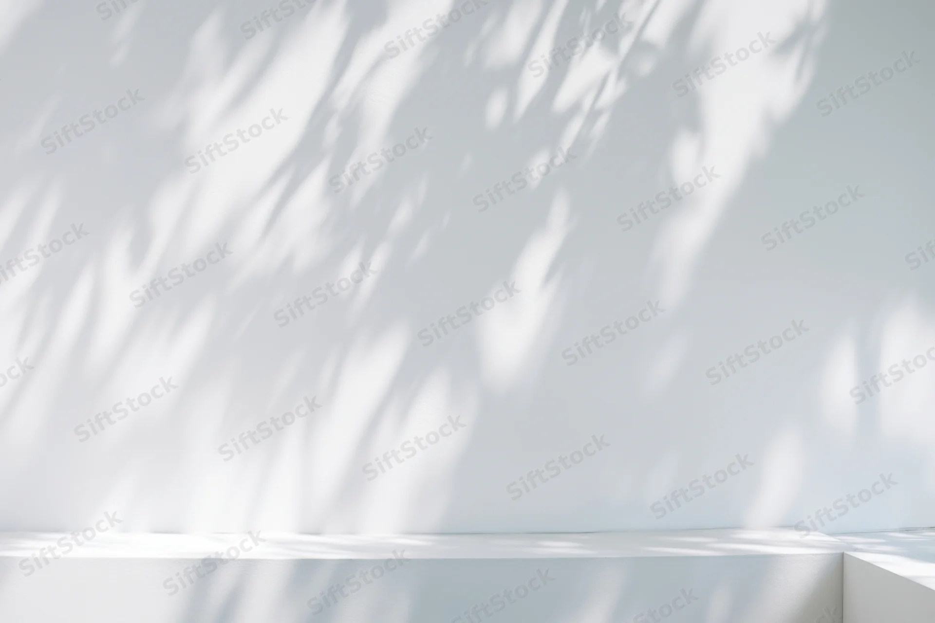 Minimalist white interior with dappled sunlight shadows on smooth wall and copyspace