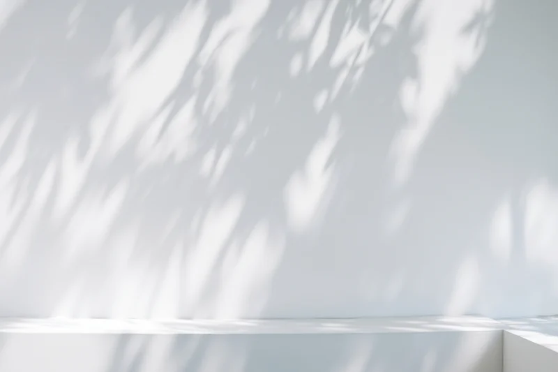 Minimalist white interior with dappled sunlight shadows on smooth wall and copyspace