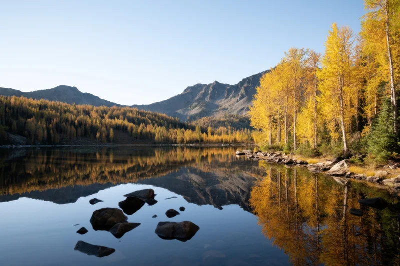 Alpine lake reflecting golden autumn forest and mountains under clear blue sky