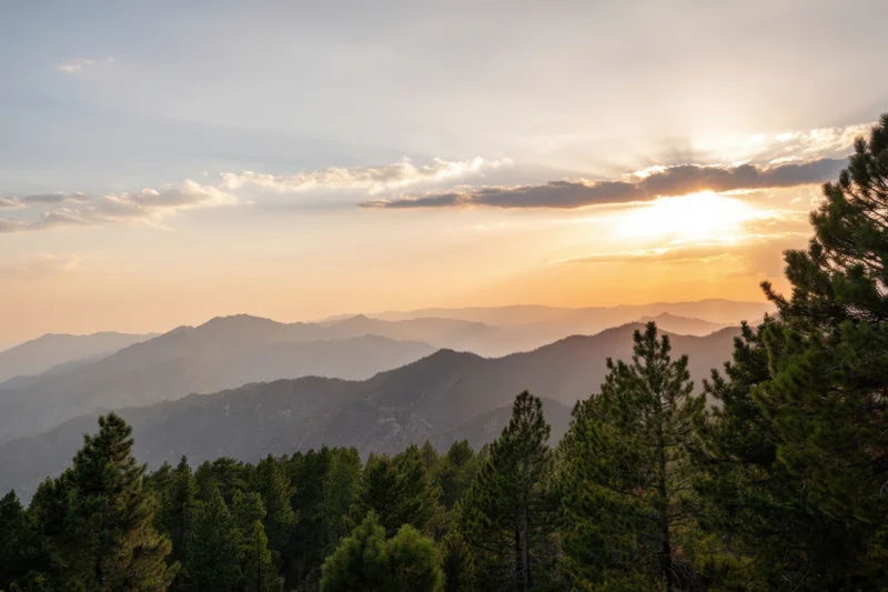 Mountain range at sunset with golden rays breaking through clouds above a pine forest