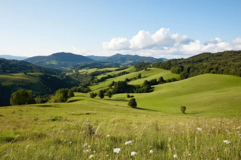 Rolling green hills and meadows under a blue sky with scattered clouds in a rural countryside landscape