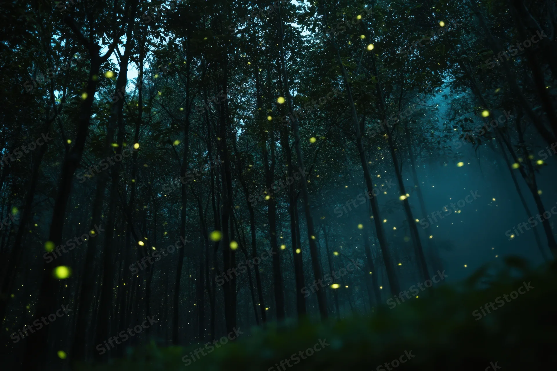 Glowing fireflies drifting through a dark dense forest at night