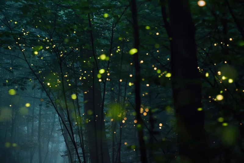 Fireflies glowing among trees in a misty forest at night