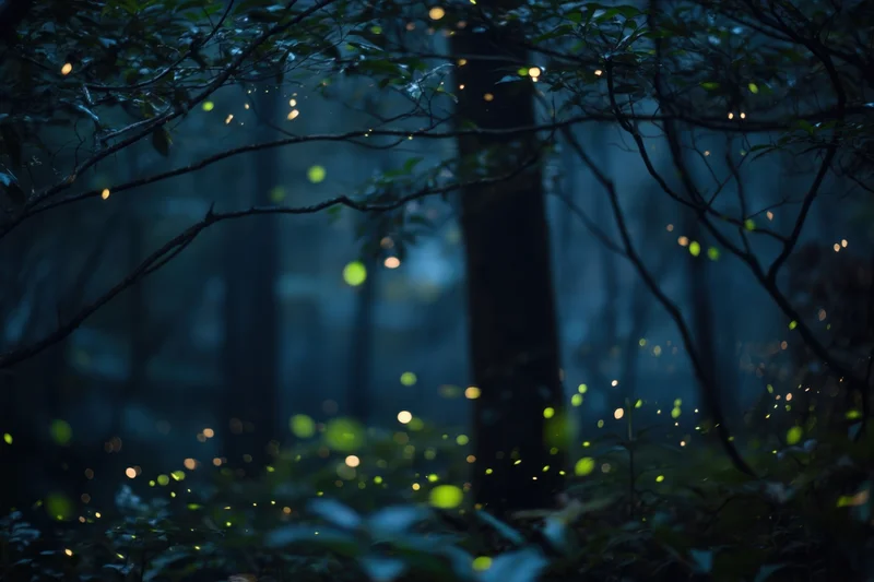 Fireflies glowing among trees in a dark forest at night