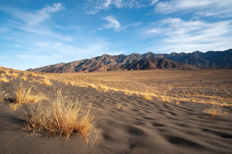 Windswept desert with dark sand dunes and sparse grass under blue sky with distant mountains