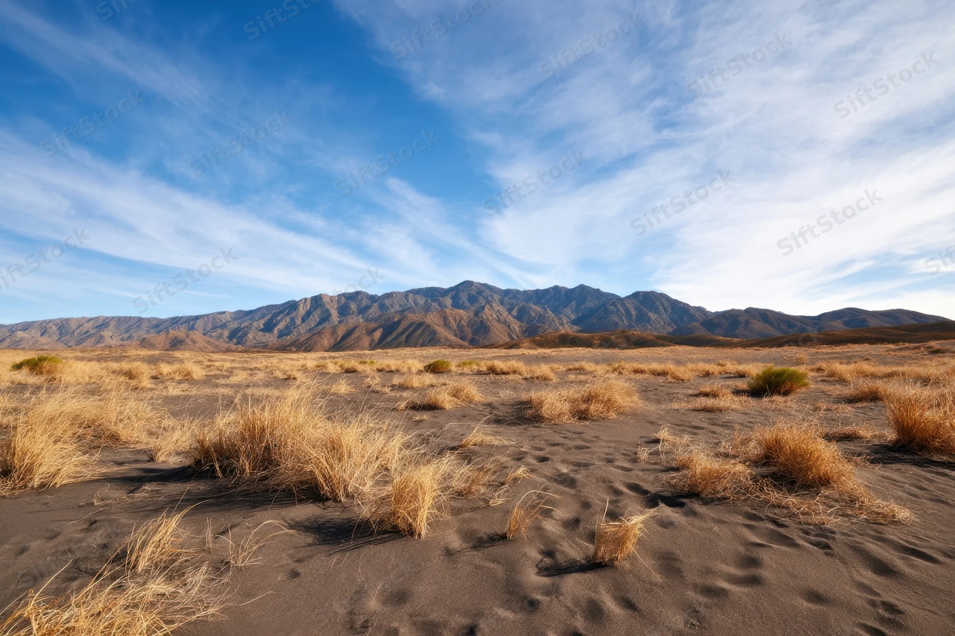 Windswept desert with dark sand dunes and sparse grass under blue sky with distant mountains