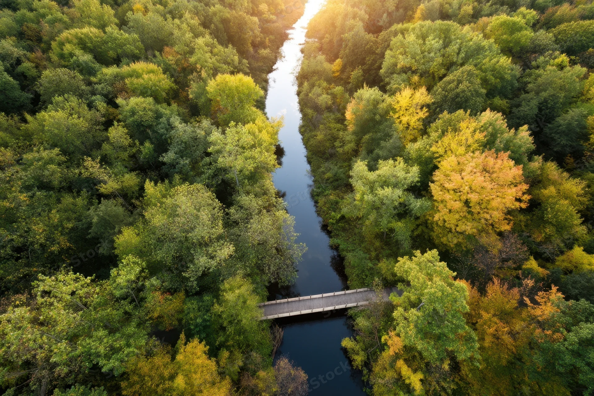 Aerial view of a narrow river winding through a dense autumn forest with a small bridge crossing it