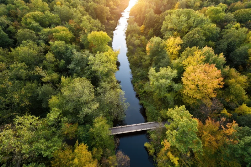 Aerial view of a narrow river winding through a dense autumn forest with a small bridge crossing it