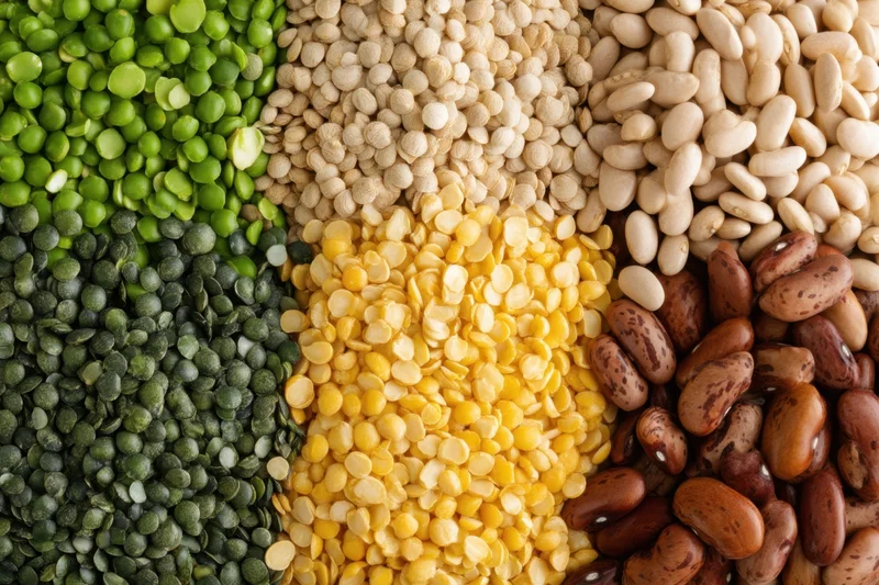 Close-up of various dried legumes and lentils arranged in sections on a flat surface