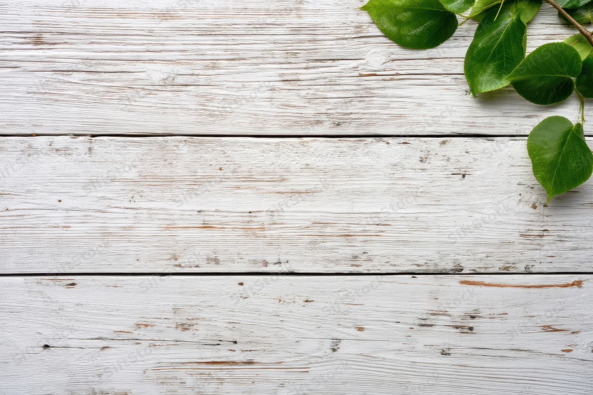 Green leaves resting on a whitewashed wooden surface with horizontal planks