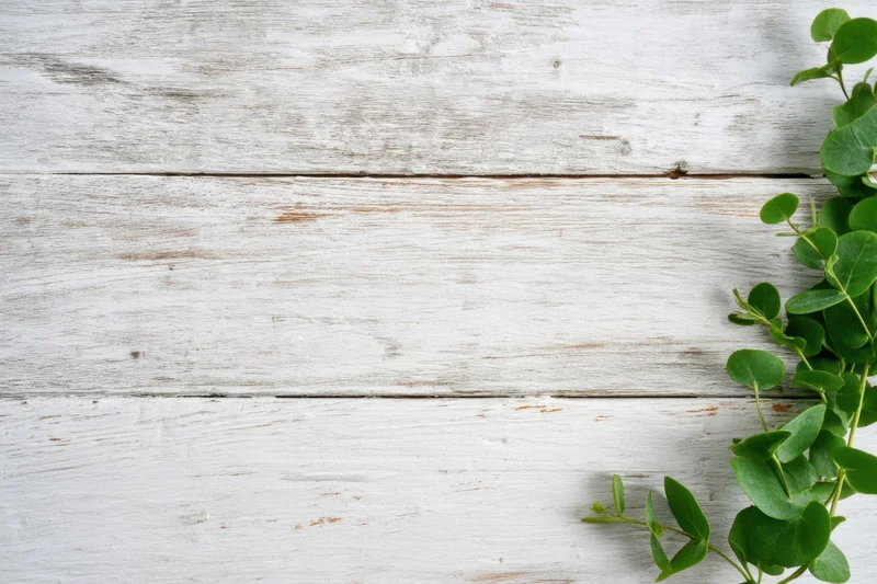Whitewashed wooden surface with weathered horizontal planks and green eucalyptus sprig on right side