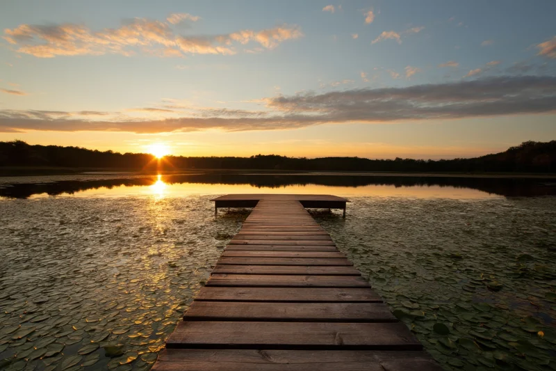 Wooden dock extending over a still lake covered in lily pads at sunset
