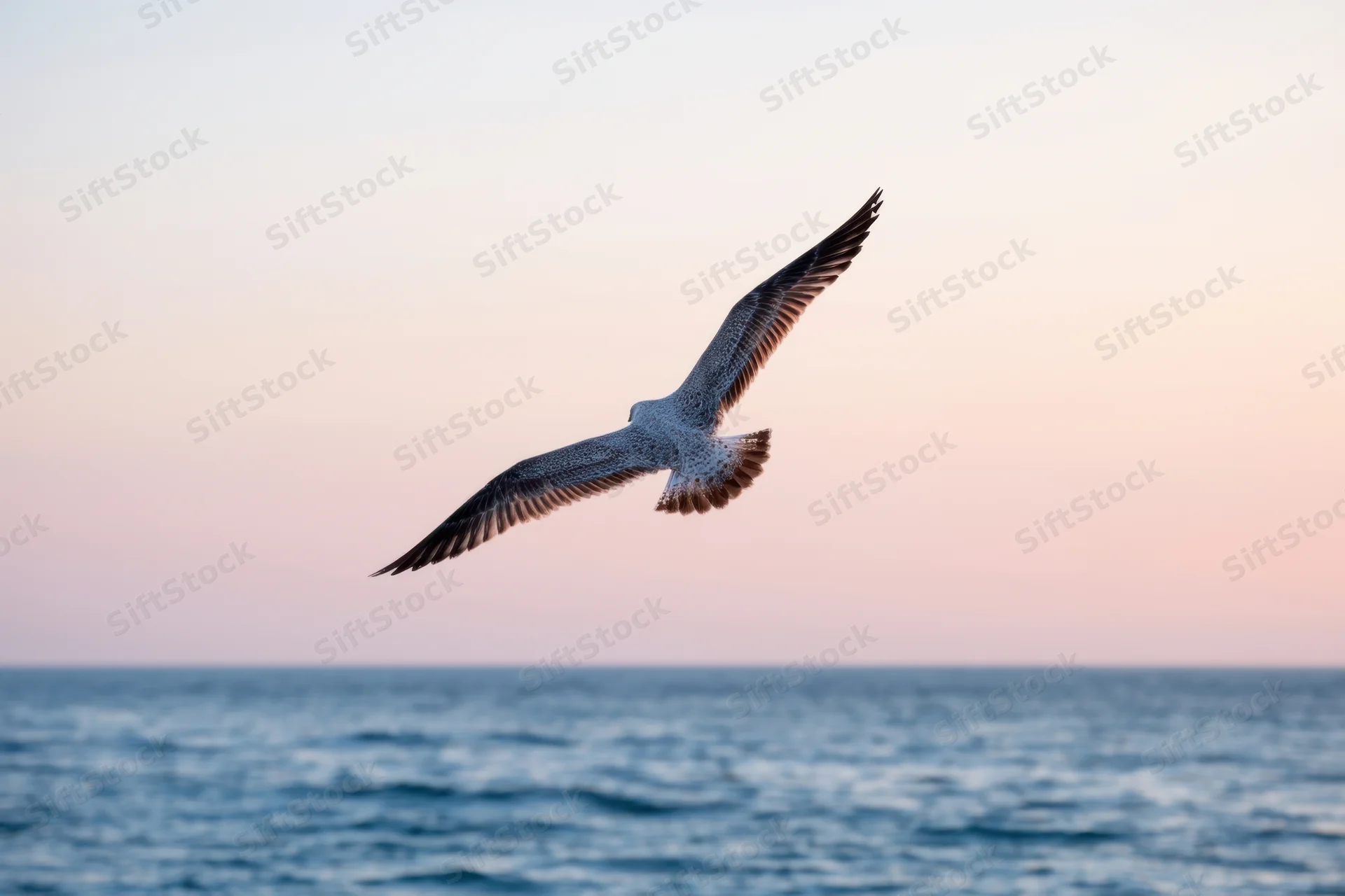 Seabird gliding with wings outstretched over ocean at twilight